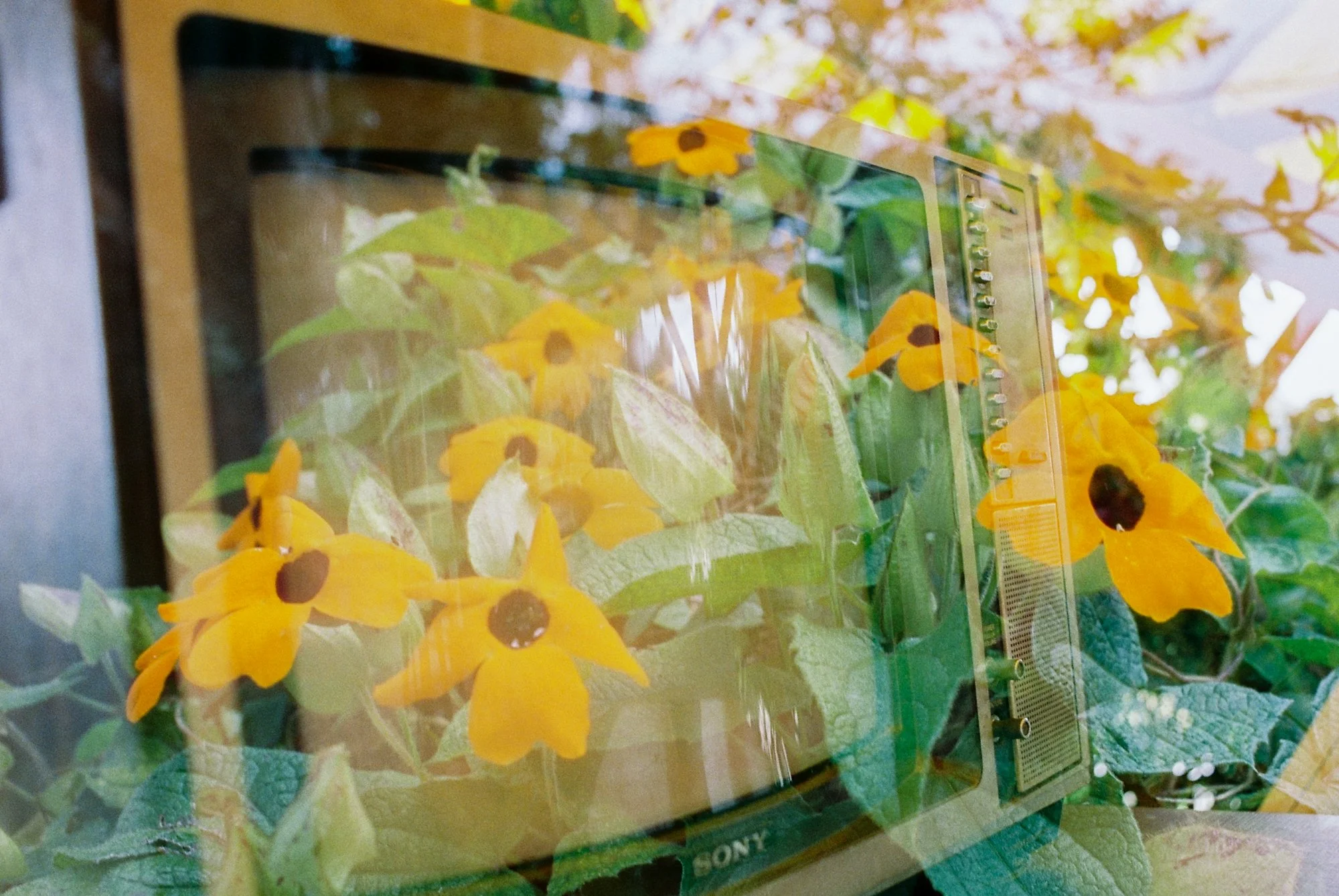 nolansepter color double exposures-10.jpg