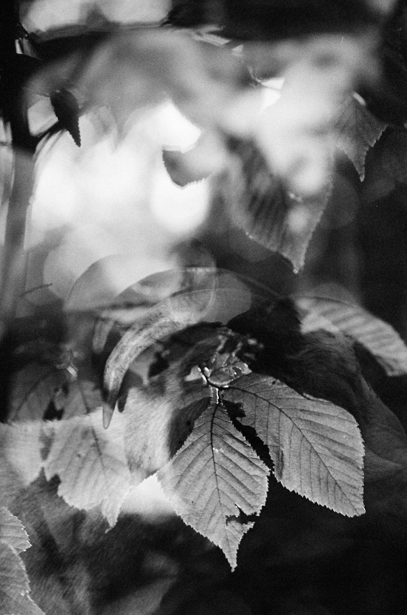 Nolan Septer Double Expo Book Photos-81.jpg