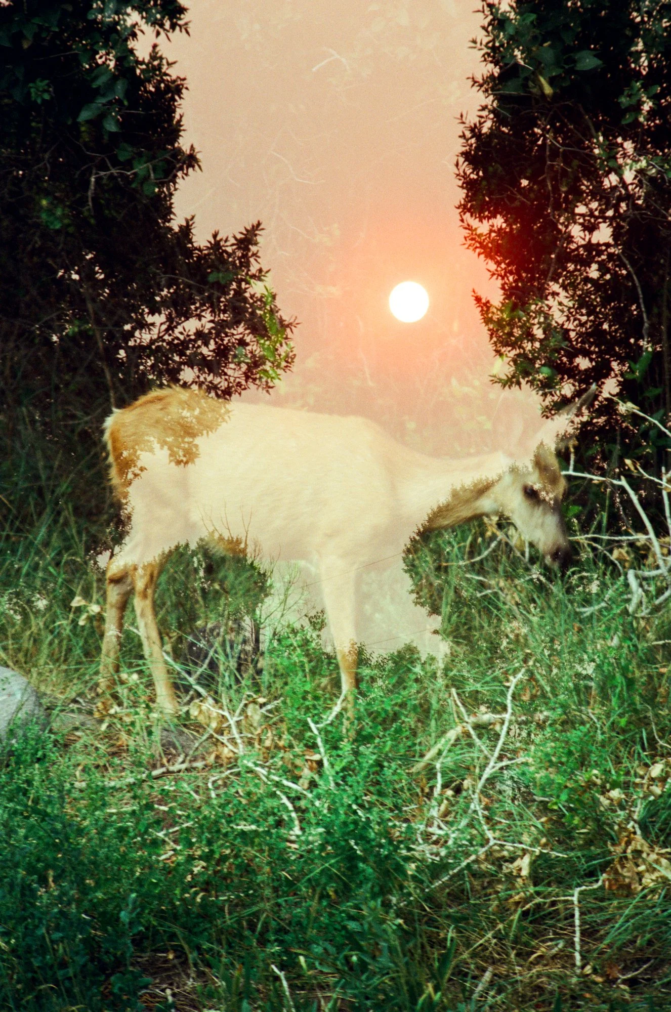 Nolan Septer Double Expo Book Photos-2.jpg