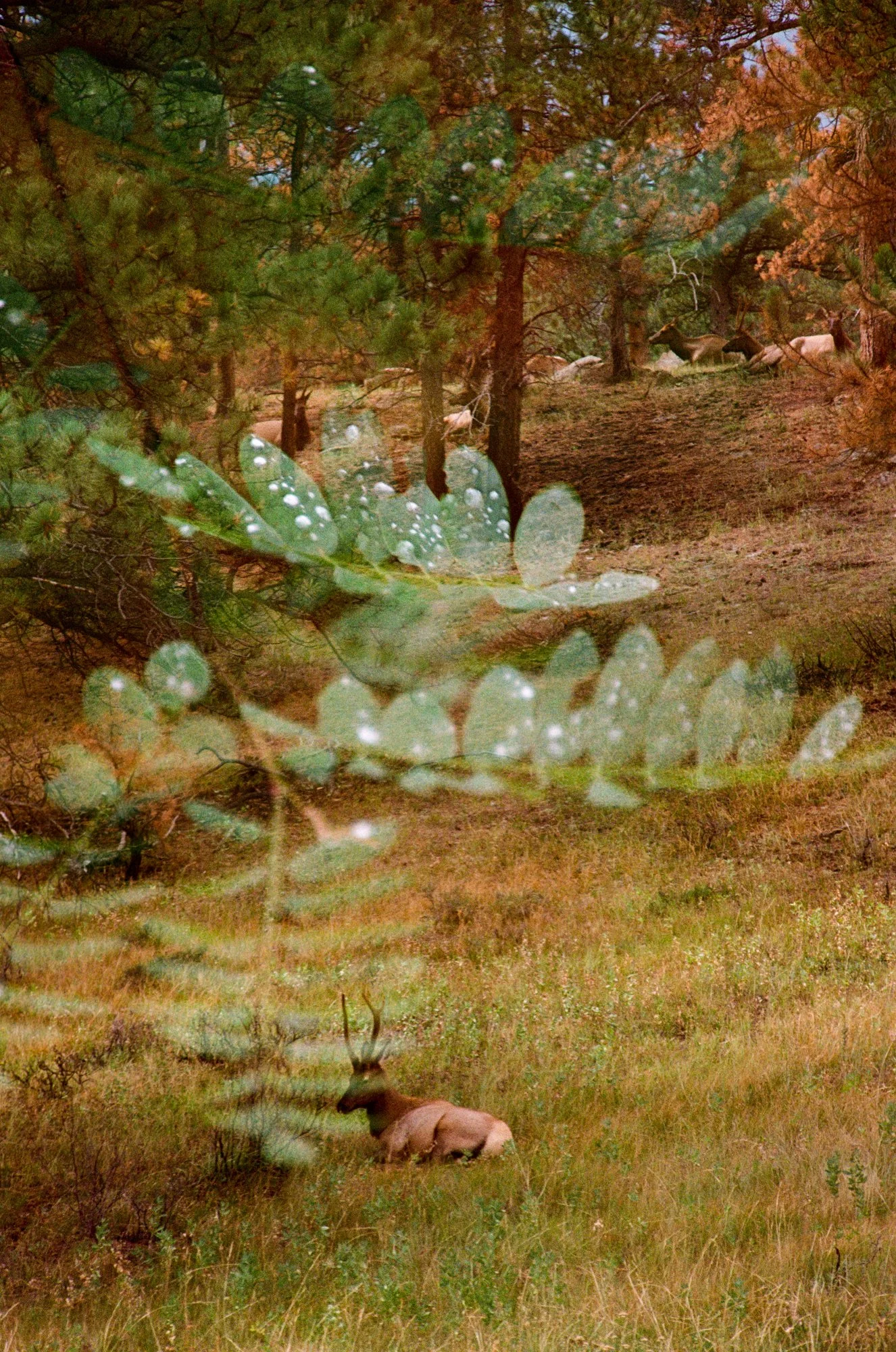 Nolan Septer Double Expo Book Photos-4.jpg