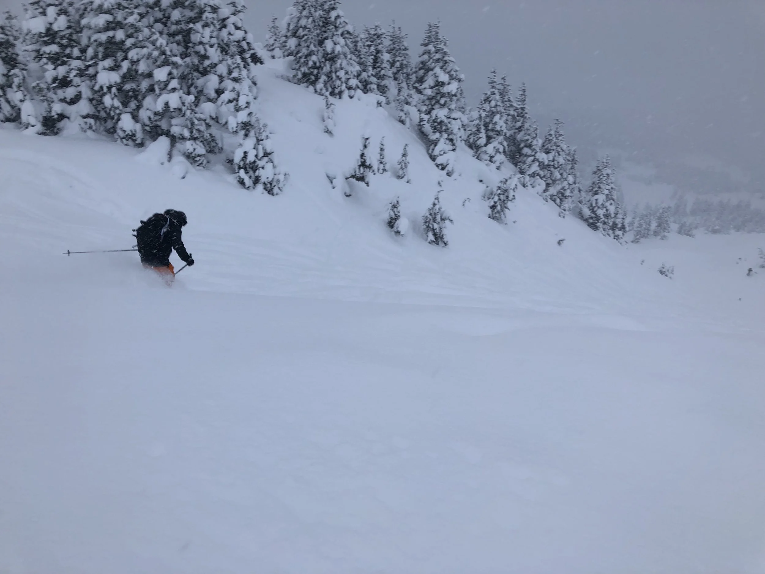 Enjoying the start of winter on the Rec 1 avalanche class.