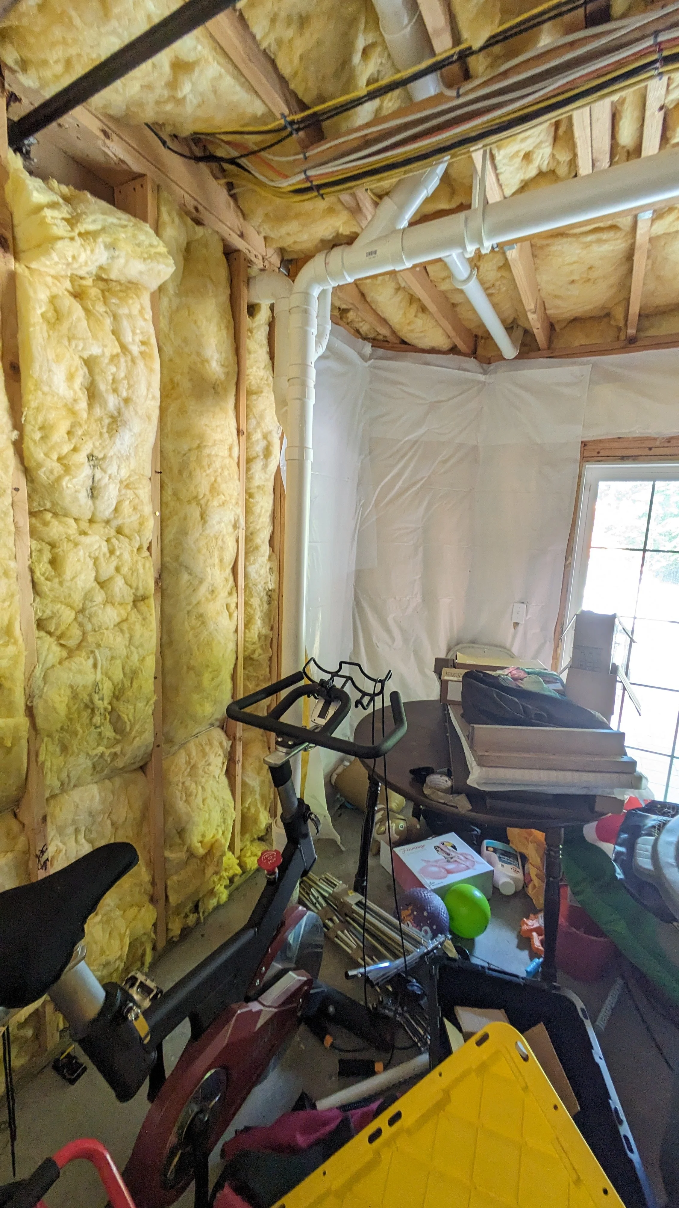 PXL_20240605_151132139.jpg