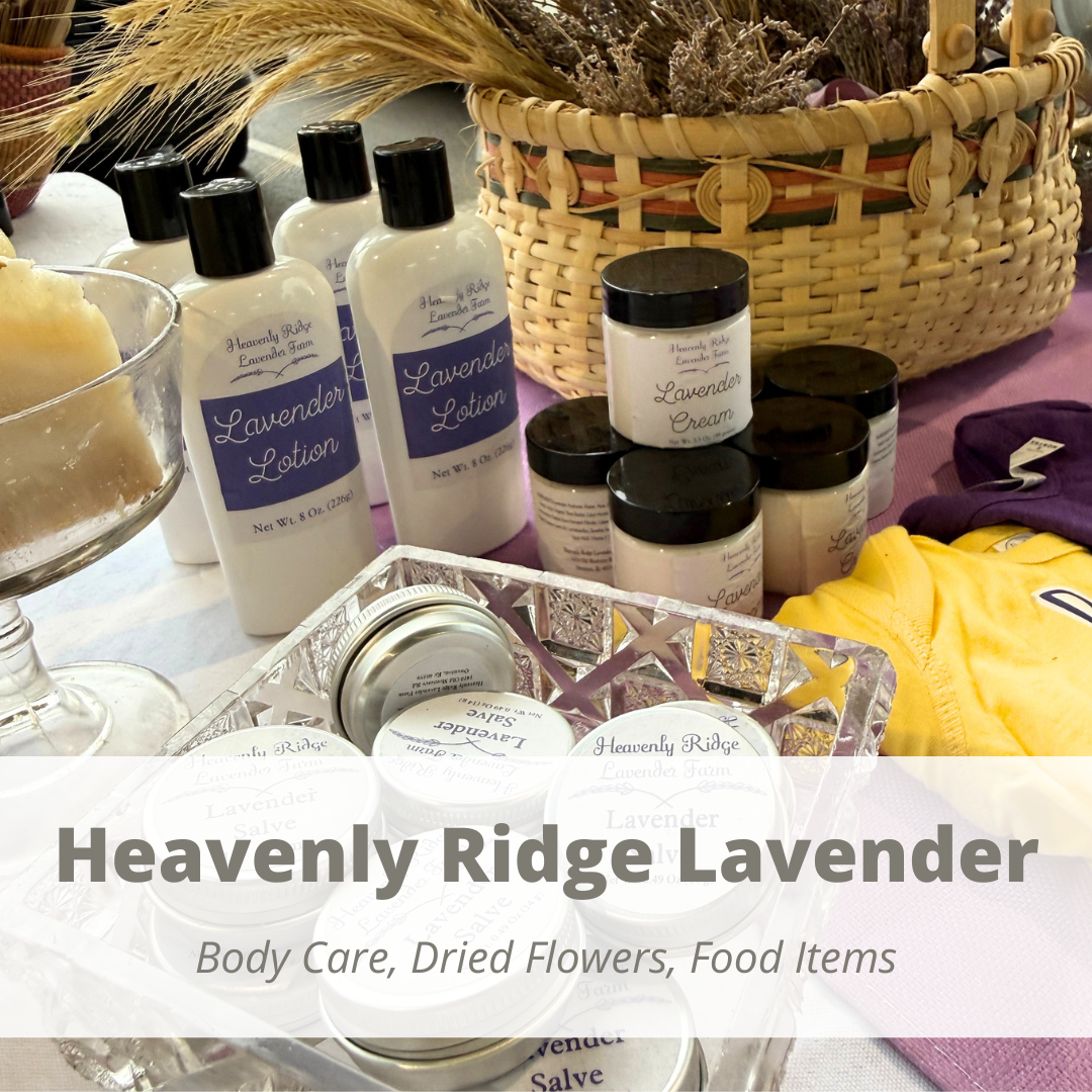 Sponsors & Vendors logo website-7.png
