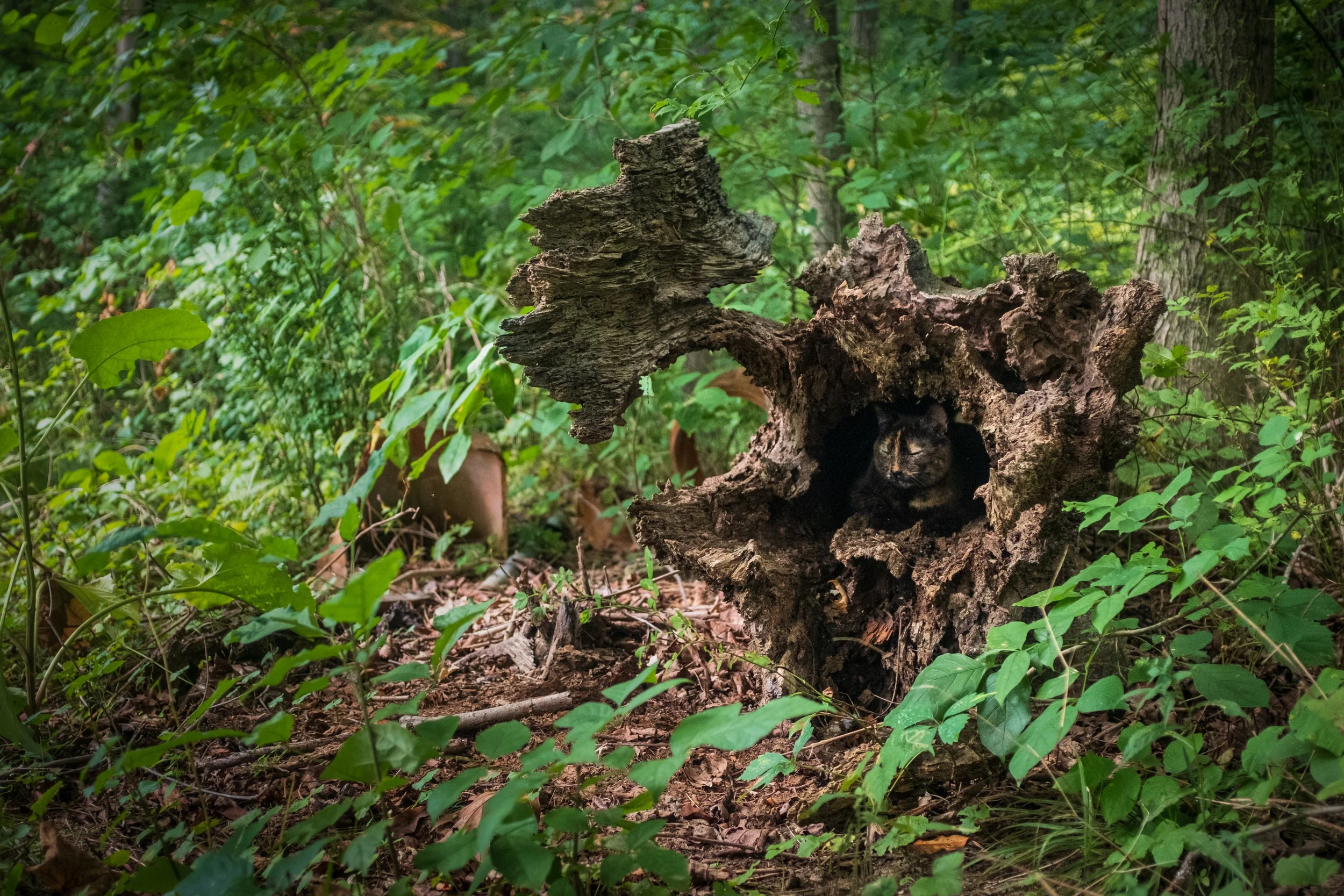 DSCF5150.jpg