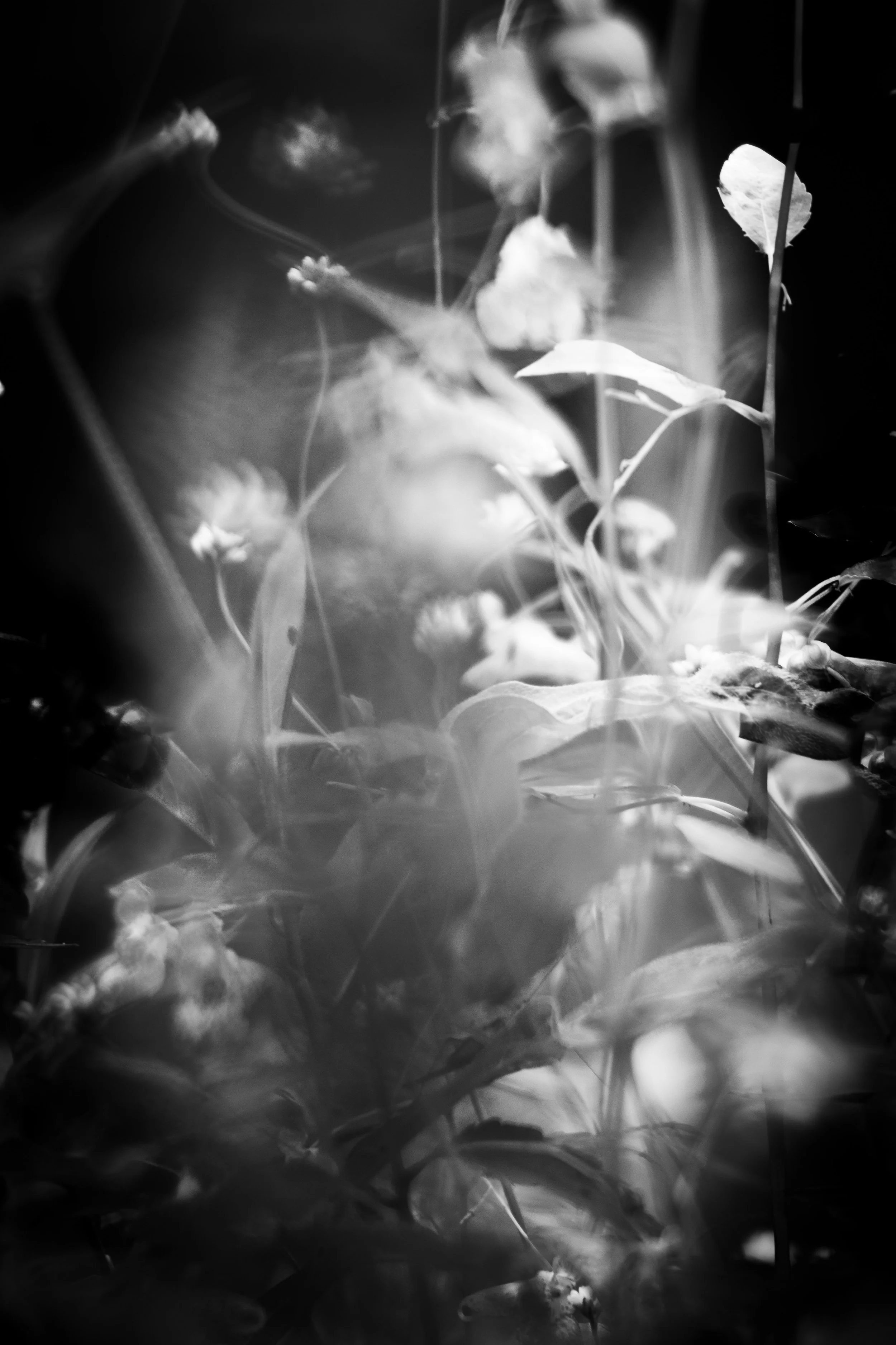 untitled-9108.jpg
