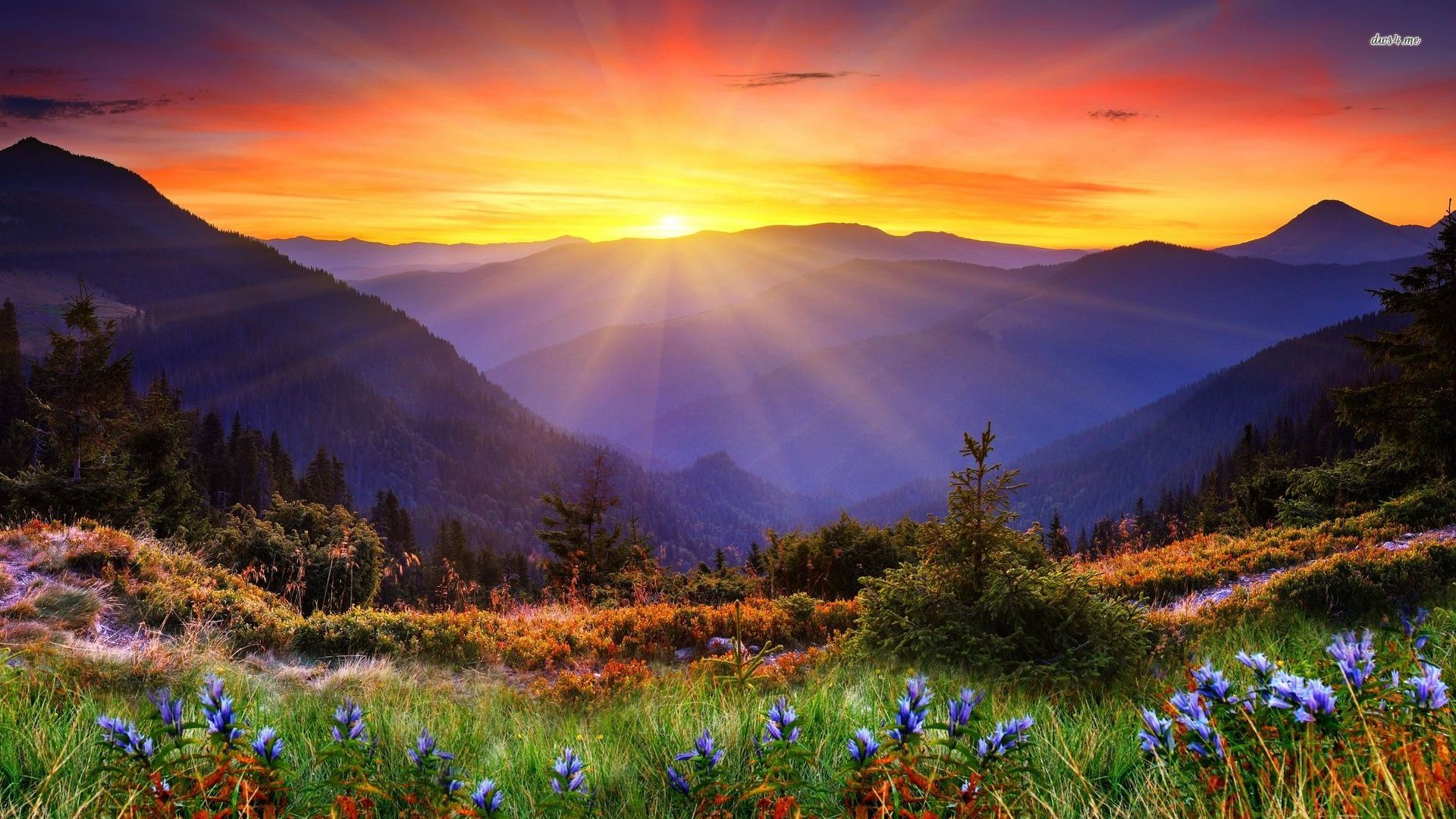 Colorful Field & Mountain.jpg