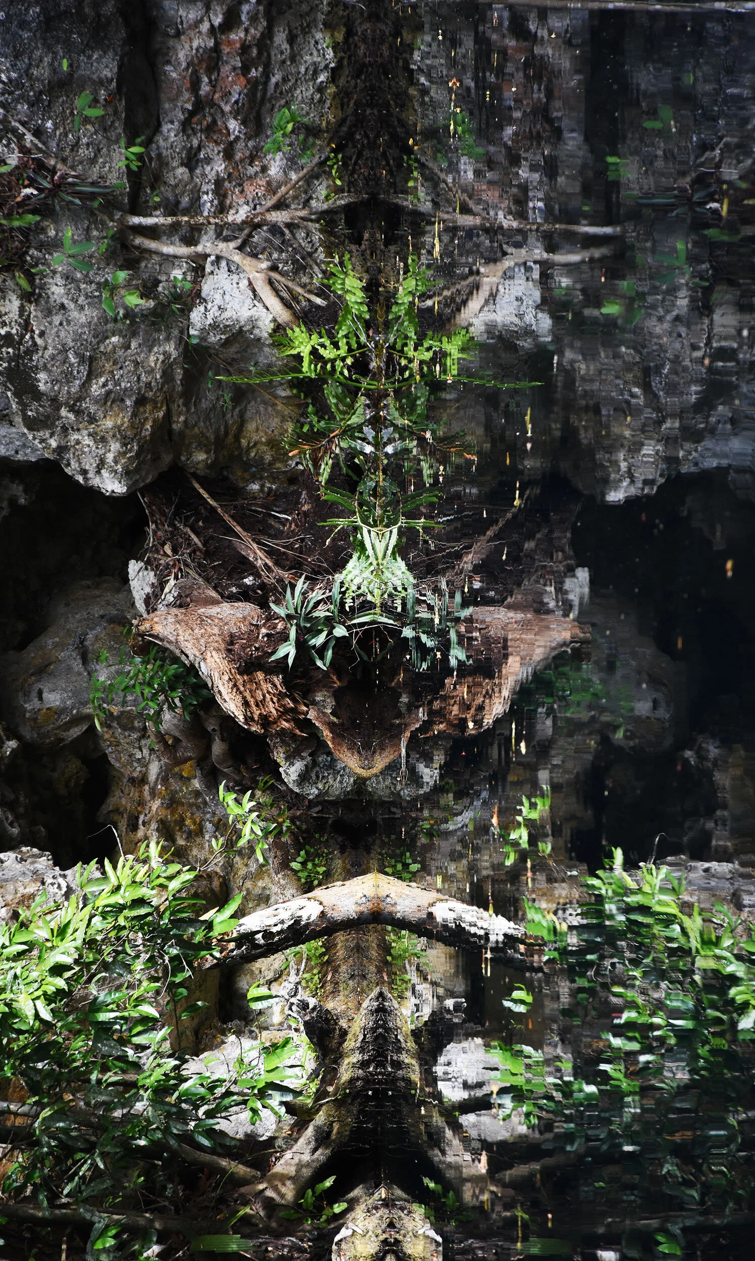 Eres tu sobre la superficie impávida de el agua, Eres tu, Entre sirenas y horizontes nuevos, Danzando sueños de el Xibalba, Que símbolo haces tu madera? Retorcida por el paso del tiempo, Como un cuello encorvado, Como un elefante que ha alcanzado a 