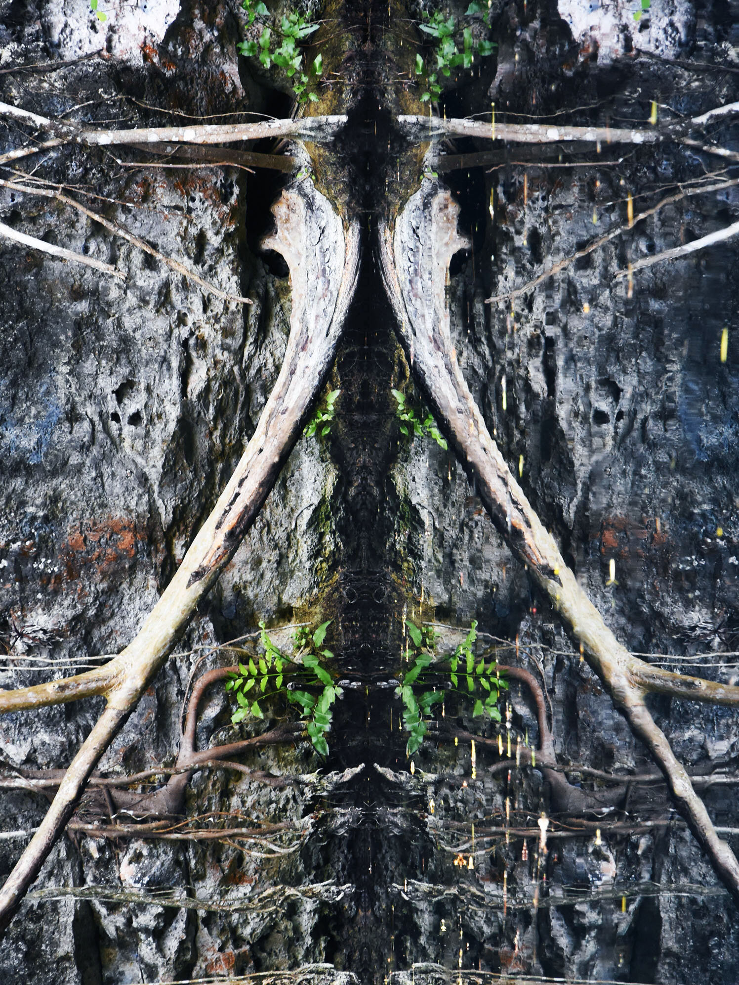  Camino un sendero de la selva a donde la tierra se encuentra al Xibalba,  Me desaparezco entre los matorrales, Miles de especies contemplan,  En el agua impávida veo, Que son solo mis manos reflejadas.  I walk a jungle to where the land meets the Xi