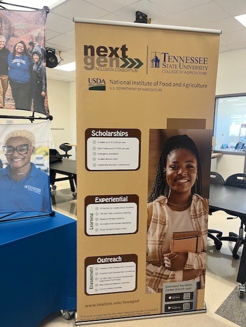 Banner stands with high impact graphics