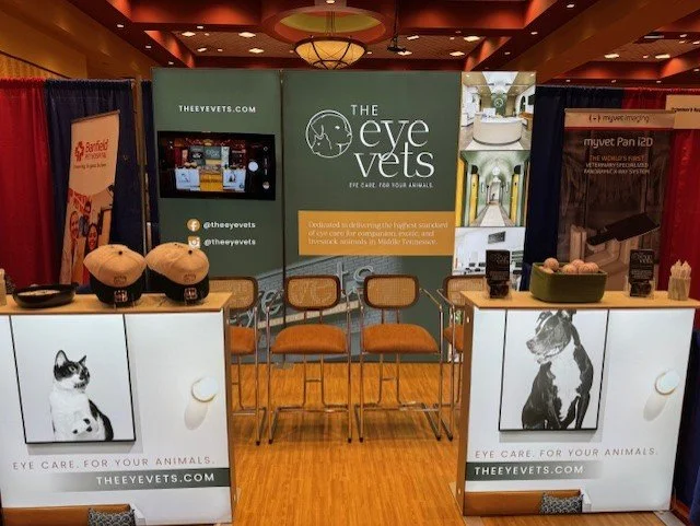 10ft Modular Backlit with Video and Counters