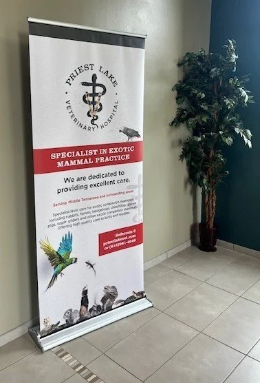 Banner Stands for Lobbies and Reception areas