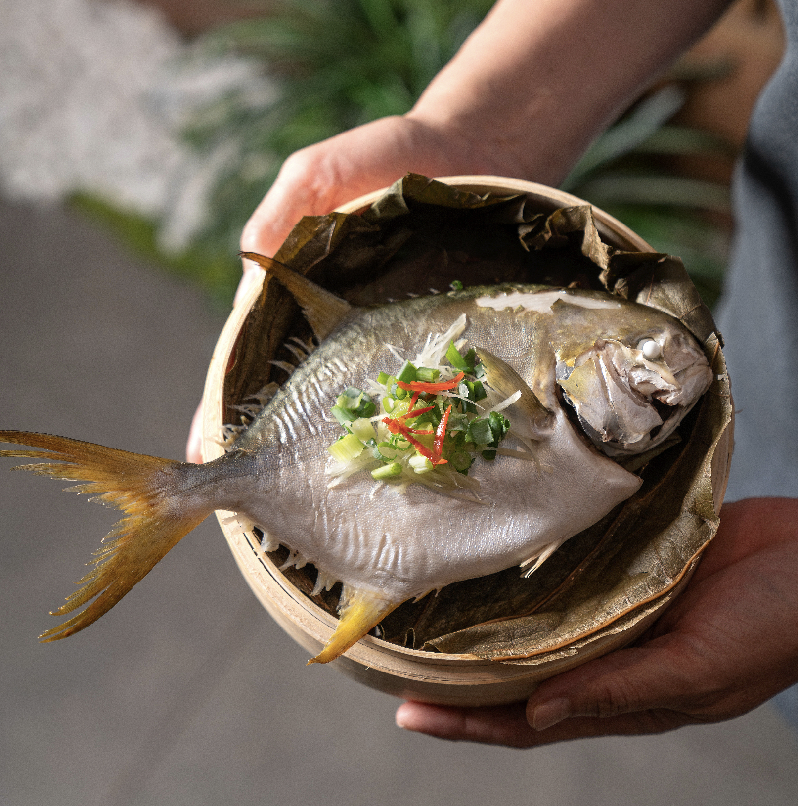 Screenshot 2025-12-24 at 3.51.24 PM.png