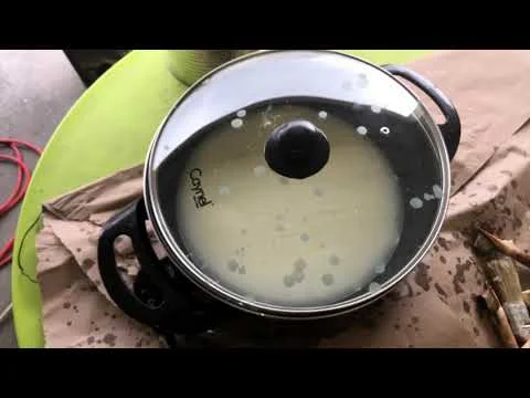 Tempo 2018, Austin Art in Public Places: 'A Place To Call Home' by Rakhee Jain Desai