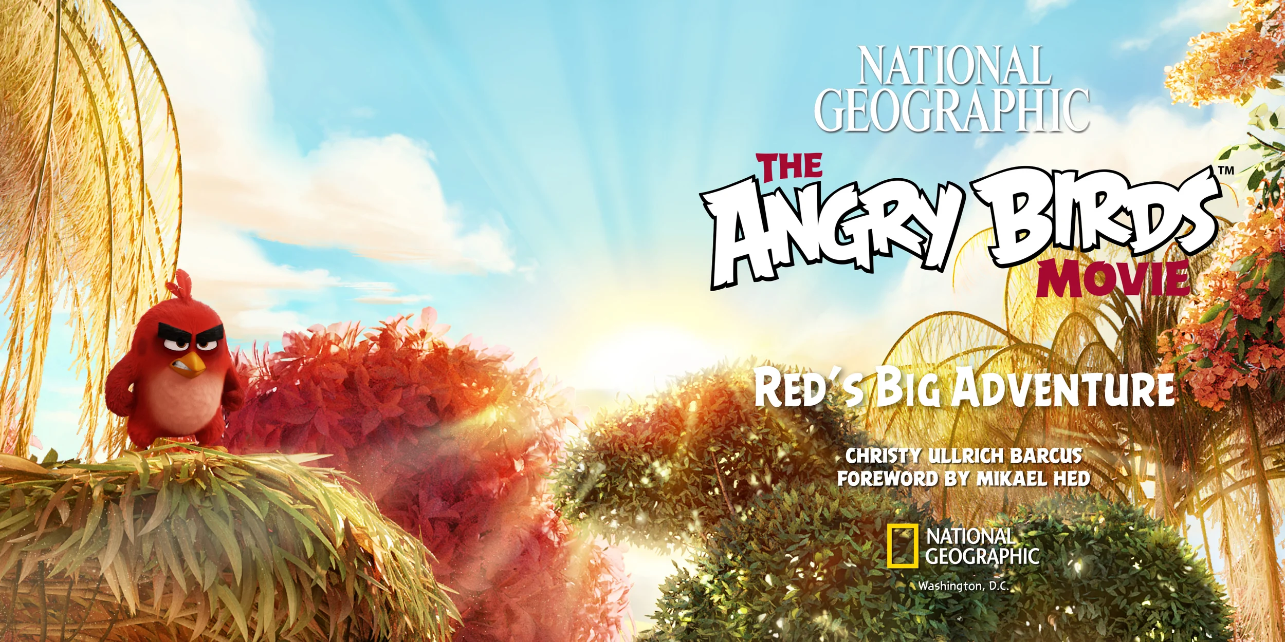 NGK Angry Birds.jpg