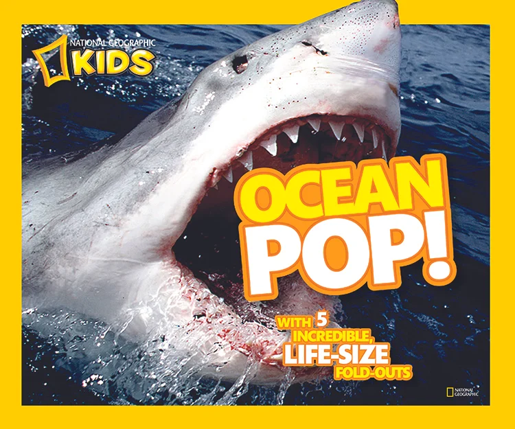 Pop_CoverOcean .jpg