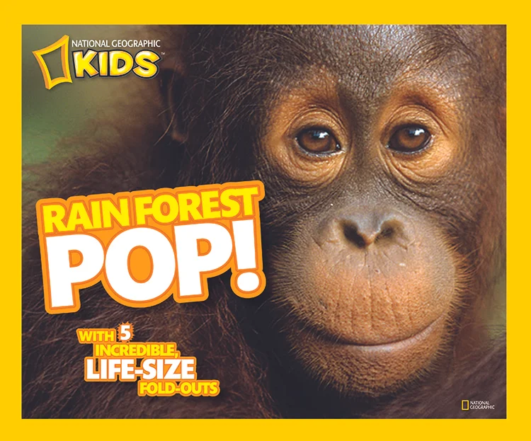 Pop_CoverRainforest .jpg