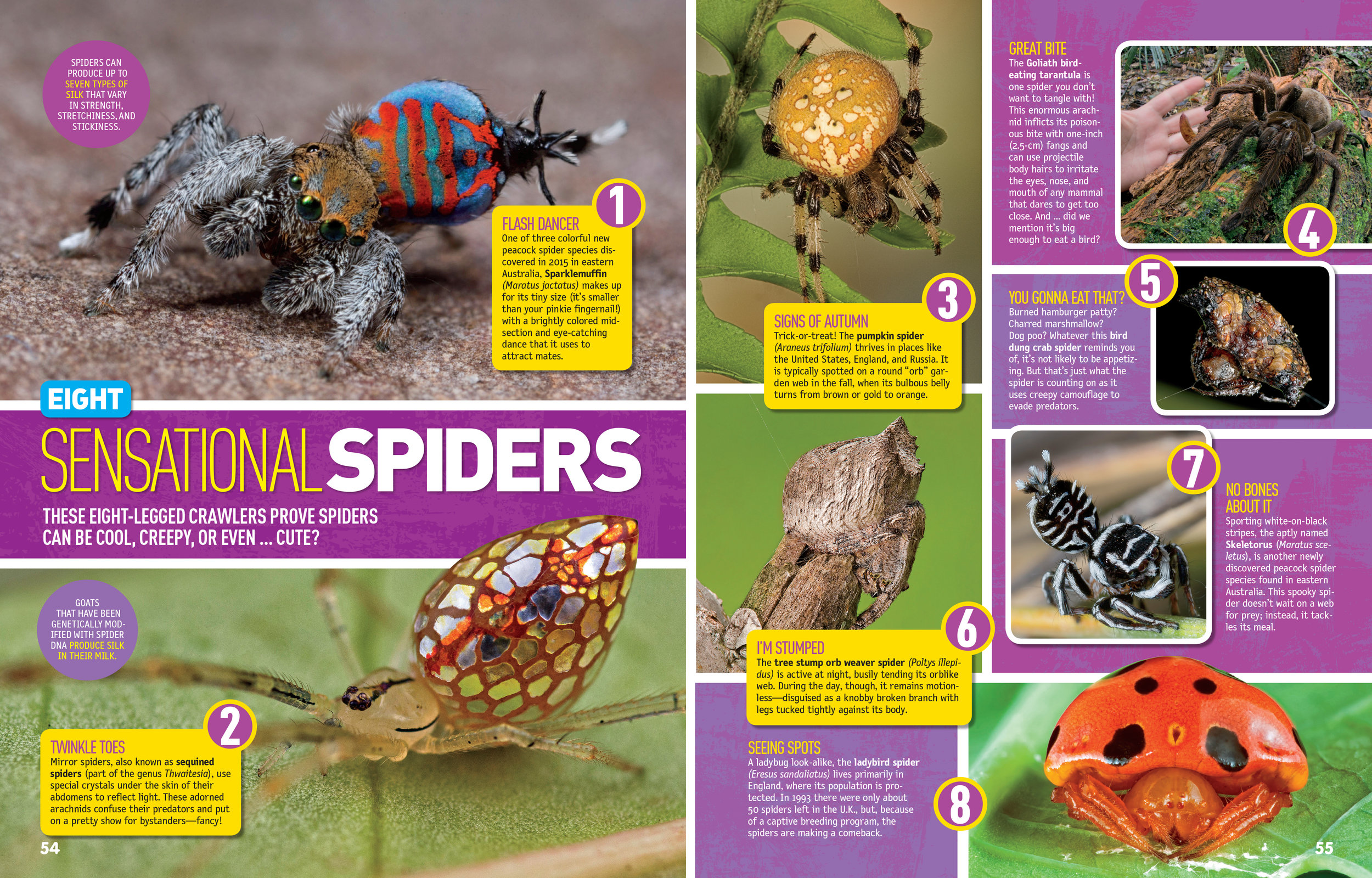 natgeo awesome 8 extreme 4.jpg
