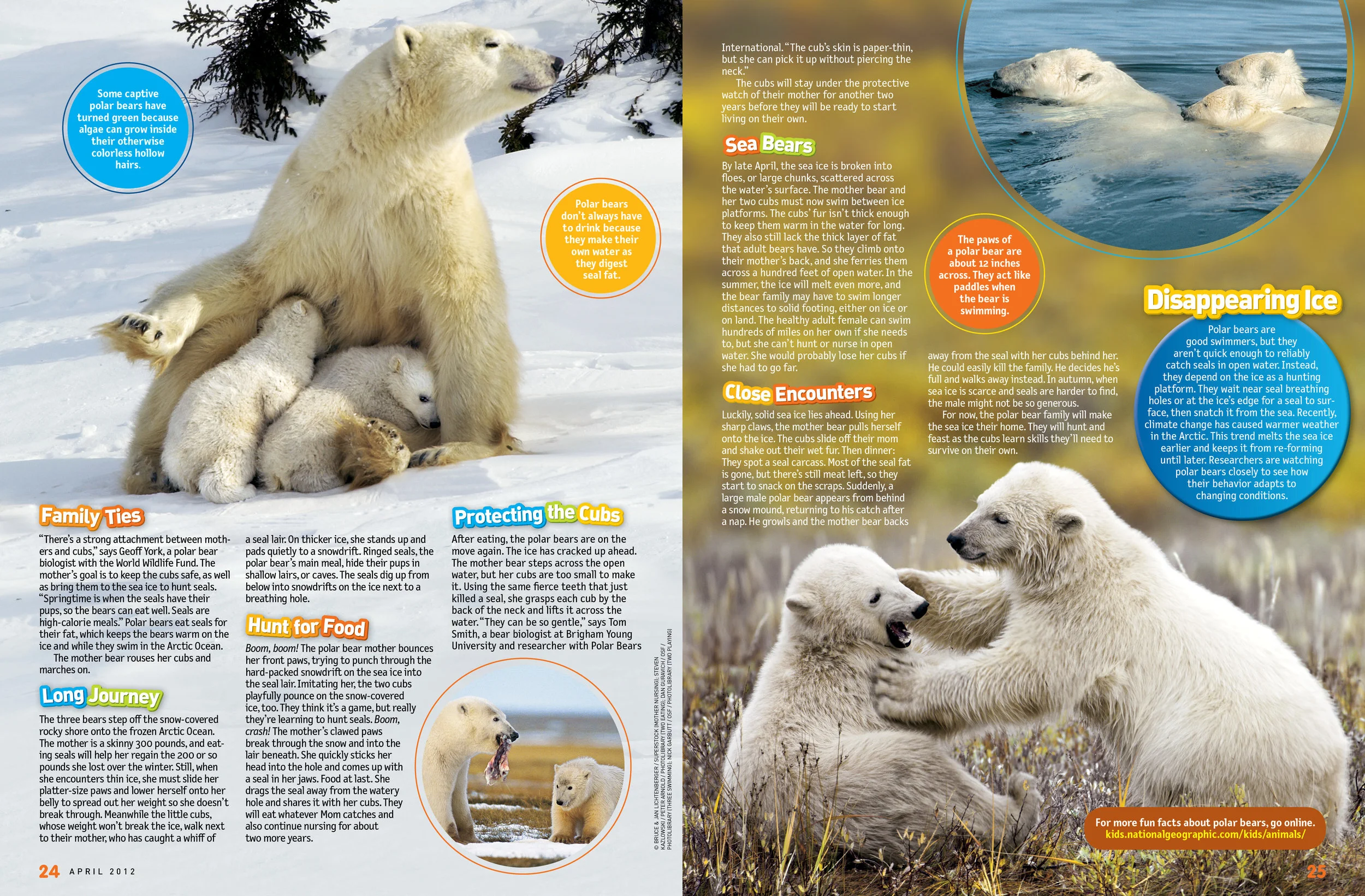 April12 NGK-Polar Bears-2.jpg