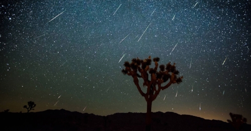 Joshua Tree National Park Perseids shower shared by JoshuaTreeVacationHomes.com