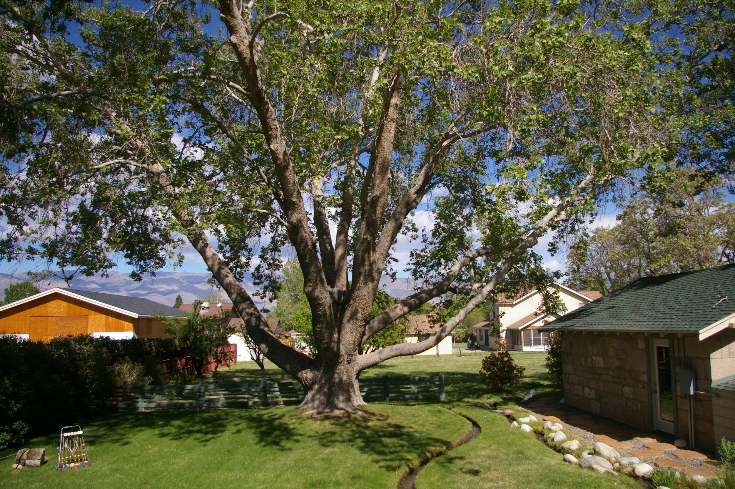 IMGP5173.jpg