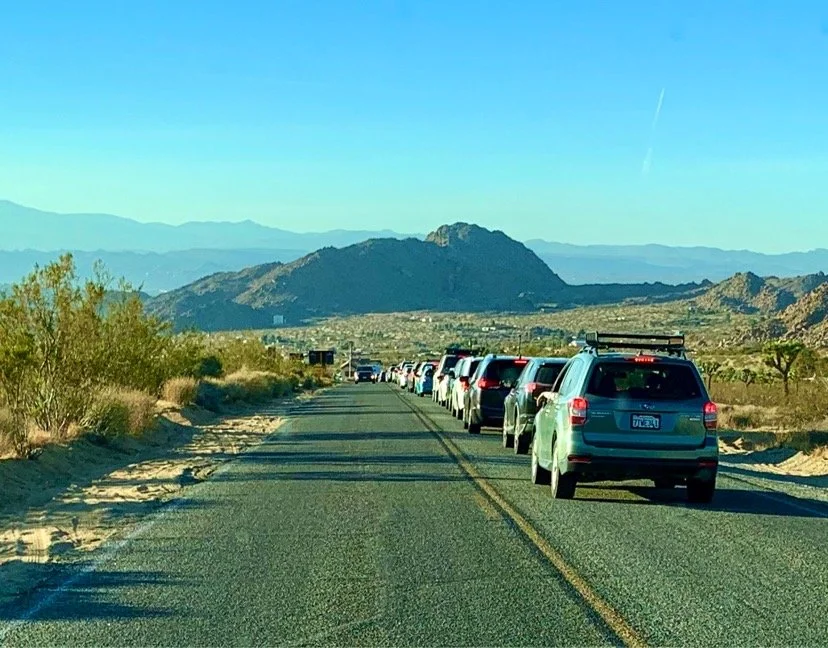 Joshua Tree National Park to Extend West Entrance | Public Comment