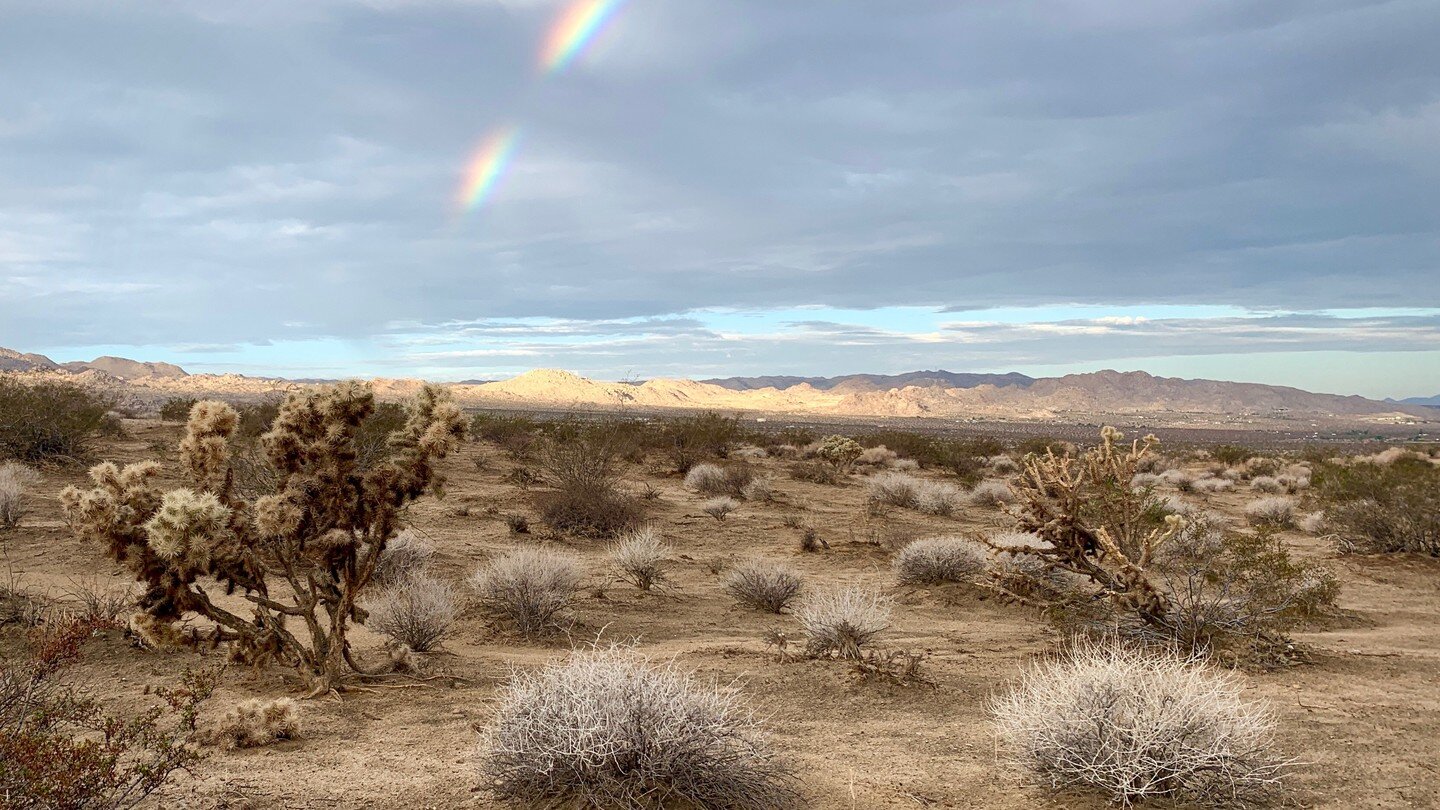 Summer monsoonal rains fetch a special delight. Come and visit for waterfall hikes, the smell of creosote, and maybe even a rainbow. 

#joshuatree #joshuatreenationalpark #jtvh #jtnp #rainbow #mojavedesert #monsoonseason #twentyninepalms #desertbreez