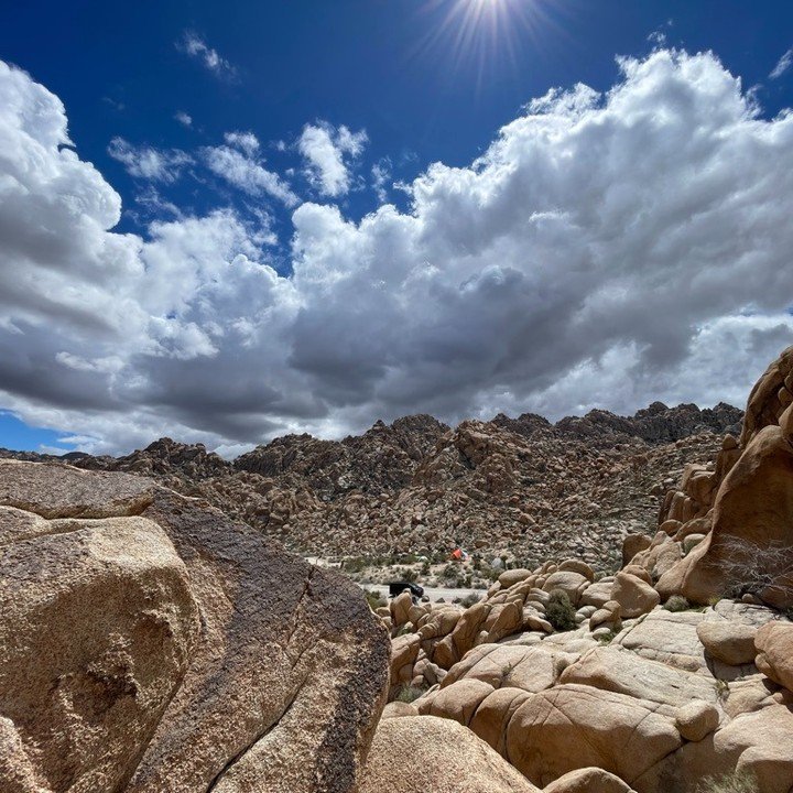 Springtime climbing in Joshua Tree .... don't let the season sneak on by. 

#joshuatreenationalpark #rockclimbing #29palms #visit29palms #jtnp #jtvh #hiking #climbing #indiancove