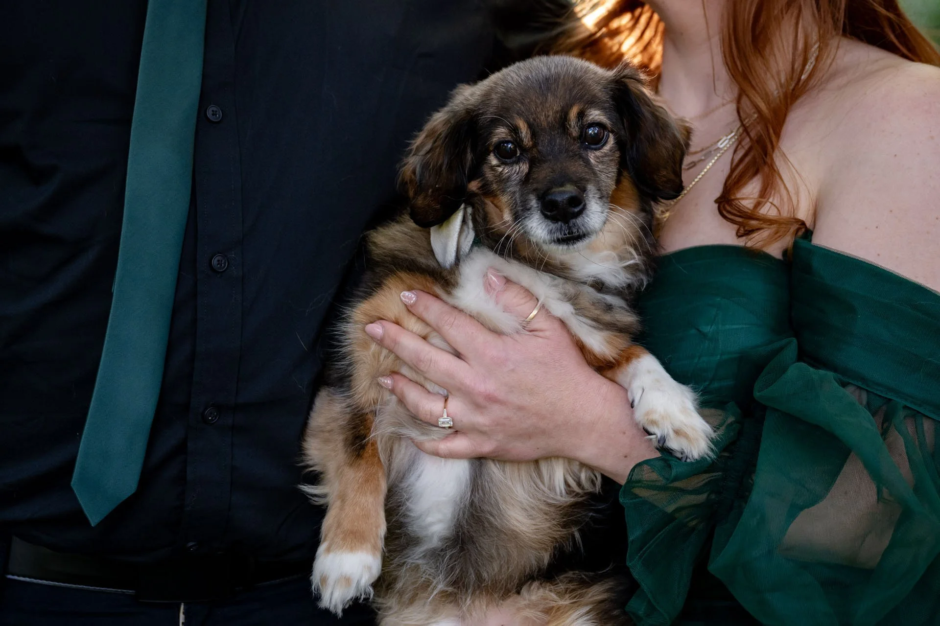 017 - Ross-Konig-engagement-session - Randall Garnick Photography.jpg