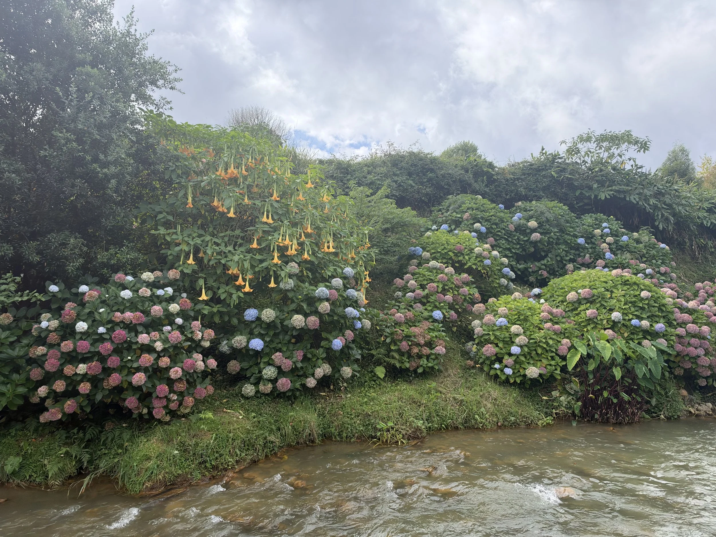 IMG_1045.jpeg