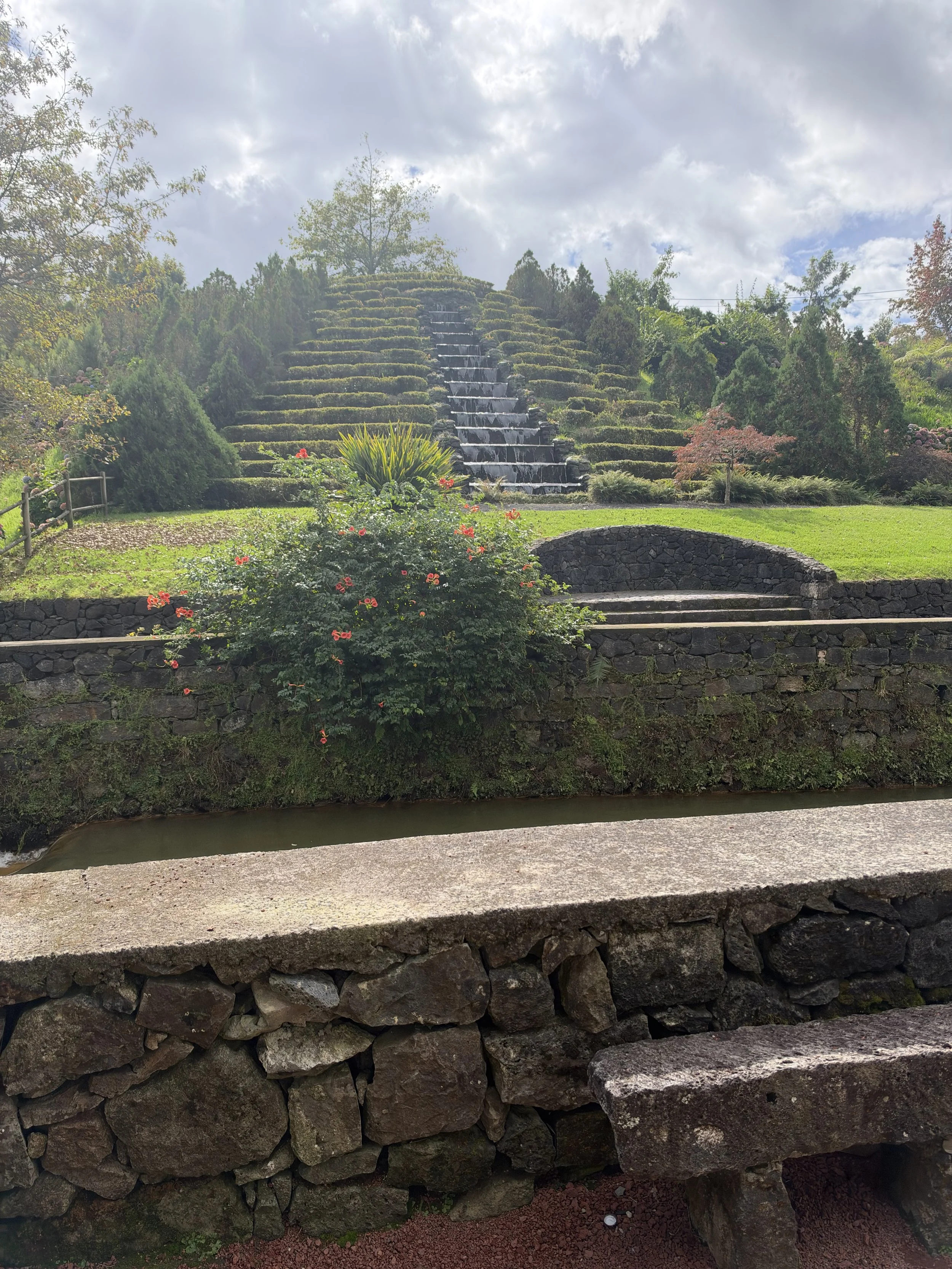 IMG_1052.jpeg