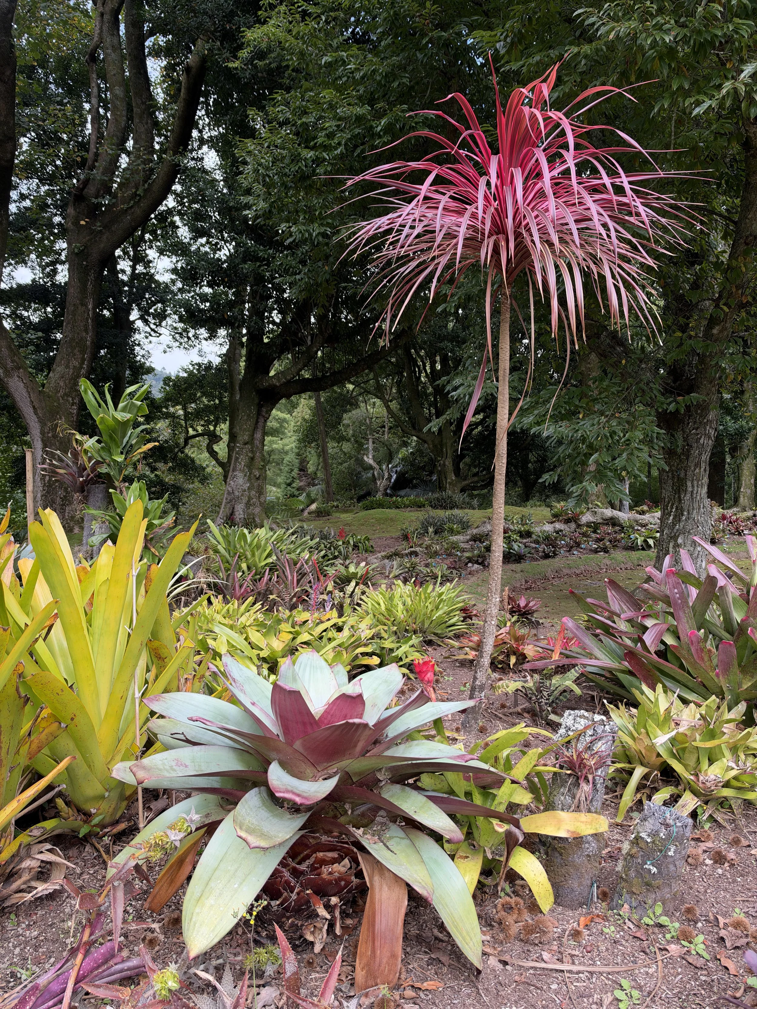 Furnas