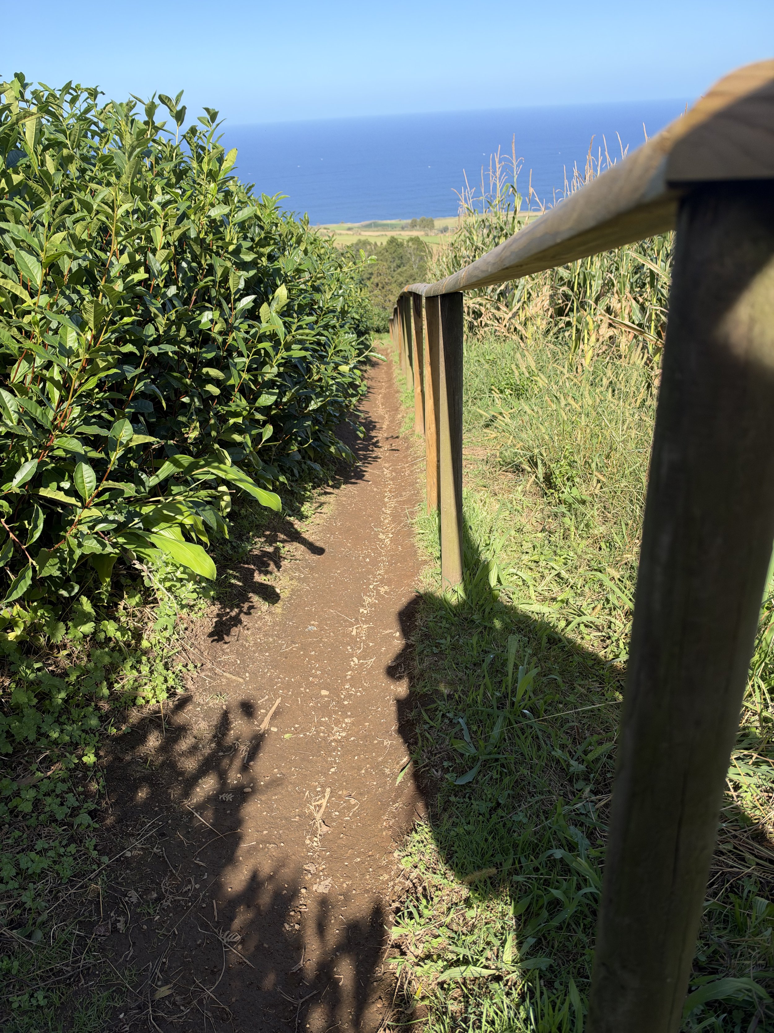 IMG_1371.jpeg