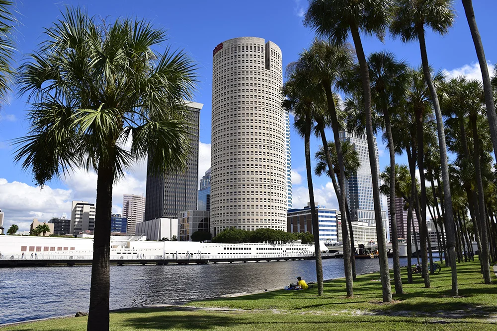 picnics-and-palm-trees.jpg