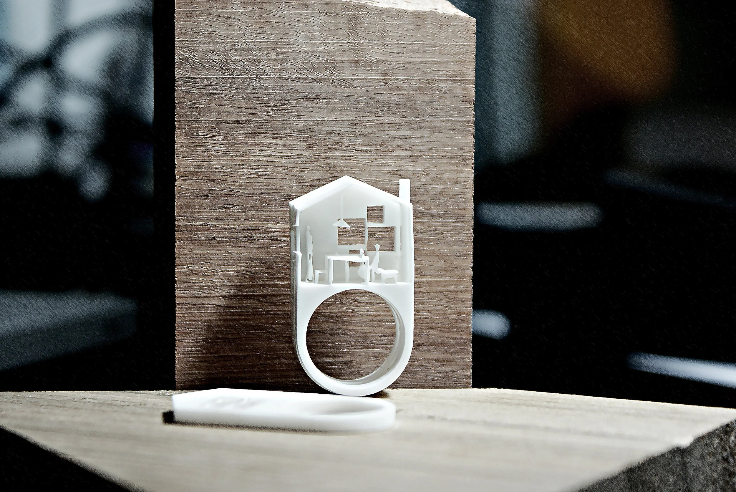 house ring 2 sharp.jpg