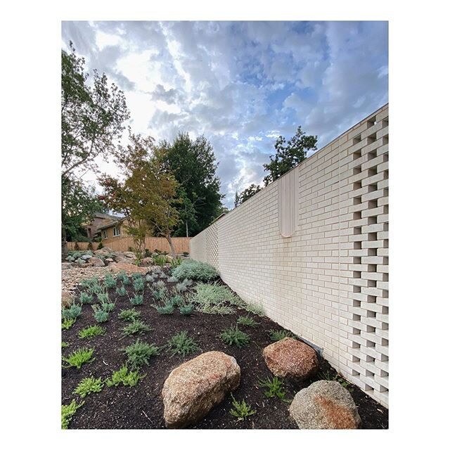 Garden slowly taking shape at our house in Mount Waverley
.
.
.
Construction by @visioneerbuilders
Landscape by @lucidalandscapes @bushprojects .
#melbournearchitecture #melbourneinteriors #minimalarchitecture #australianarchitecture #design #archite