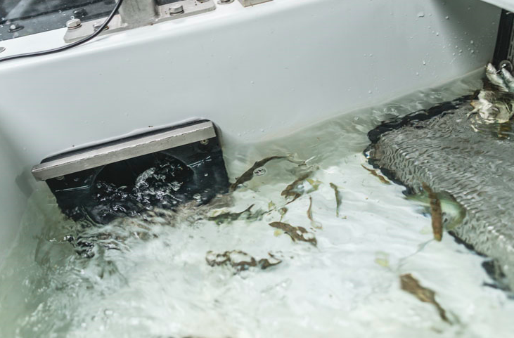 Best mulig miljø for fisk i oppdrettsanlegg på land. Artec Aqua leverer produkter, systemløsninger og nøkkelferdige anlegg til akvakulturnæringen.