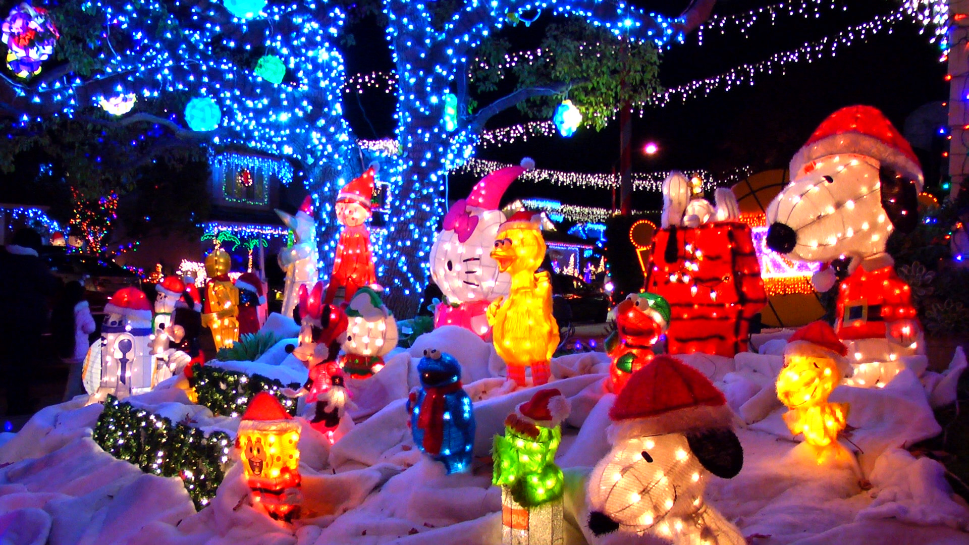 Lights 1.jpg