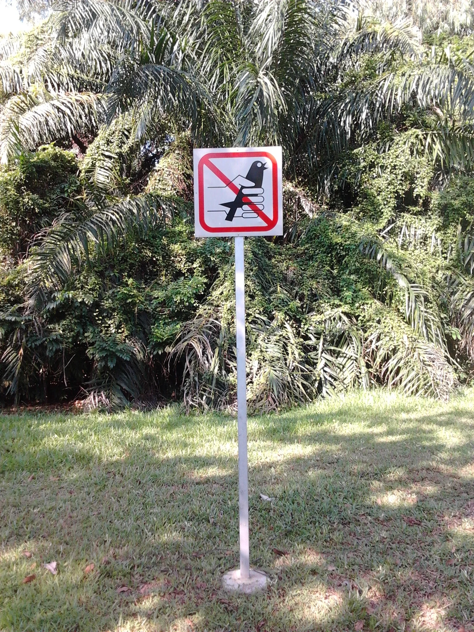 disclaimer.jpg