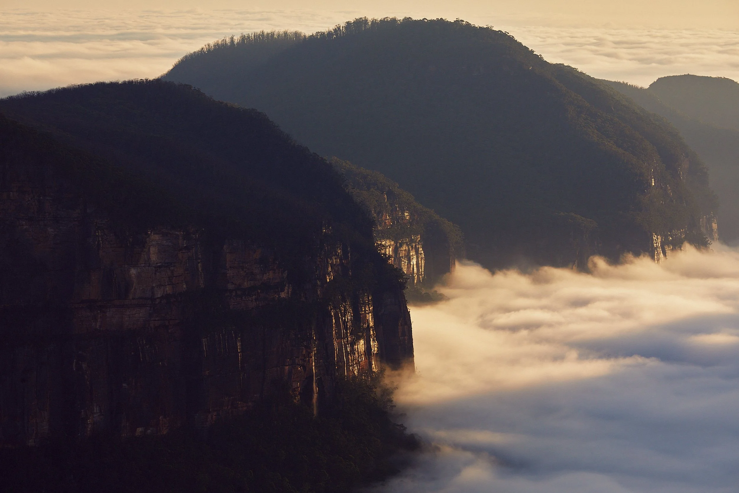 Blue Mountains Australia Landscape Photographic Prints_V5A8787.jpg