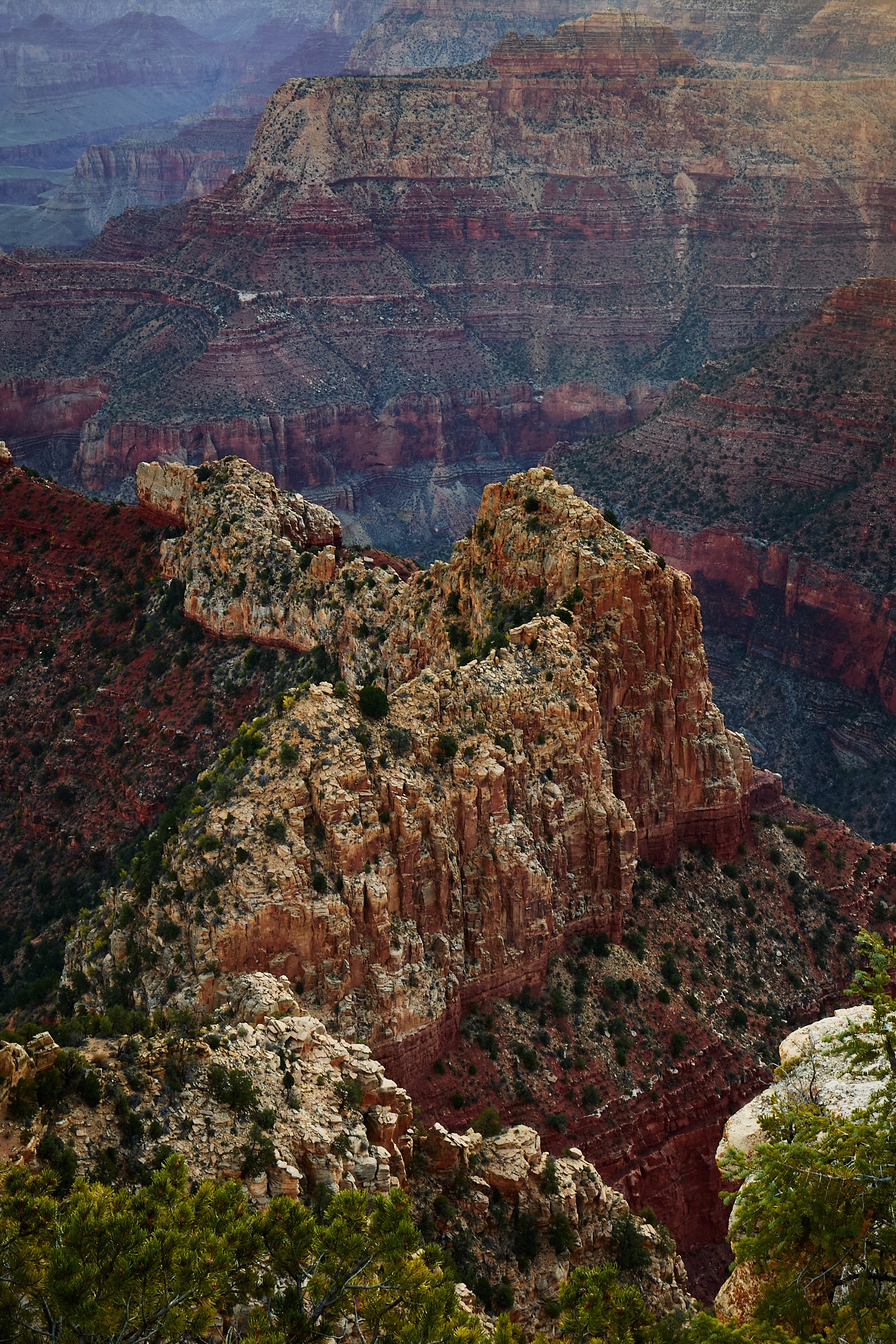 Prints_1W6A6589.jpg