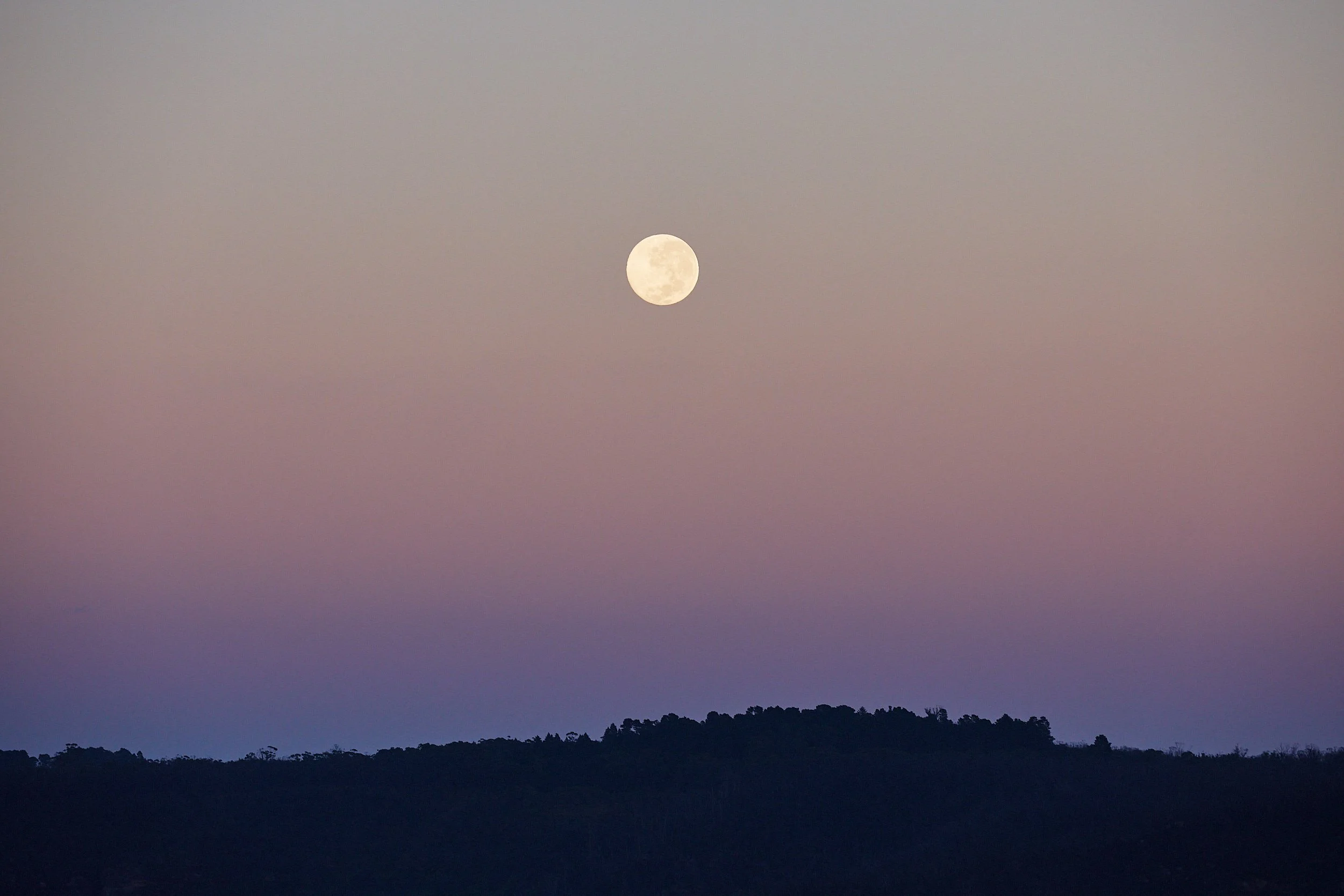 Blue Mountains Australia Landscape Photographic Prints_V5A8658.jpg