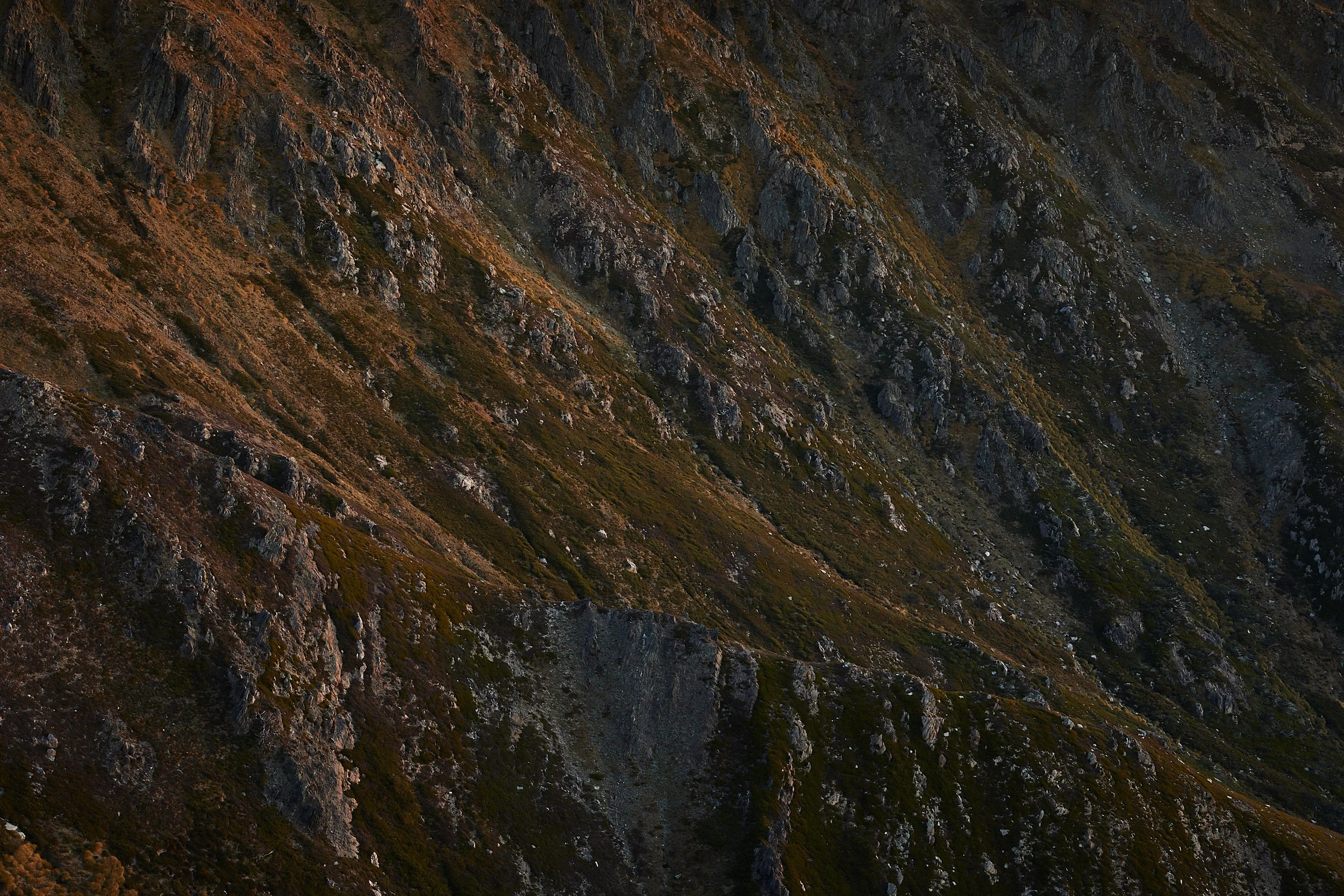 Prints_CV5A9595.jpg