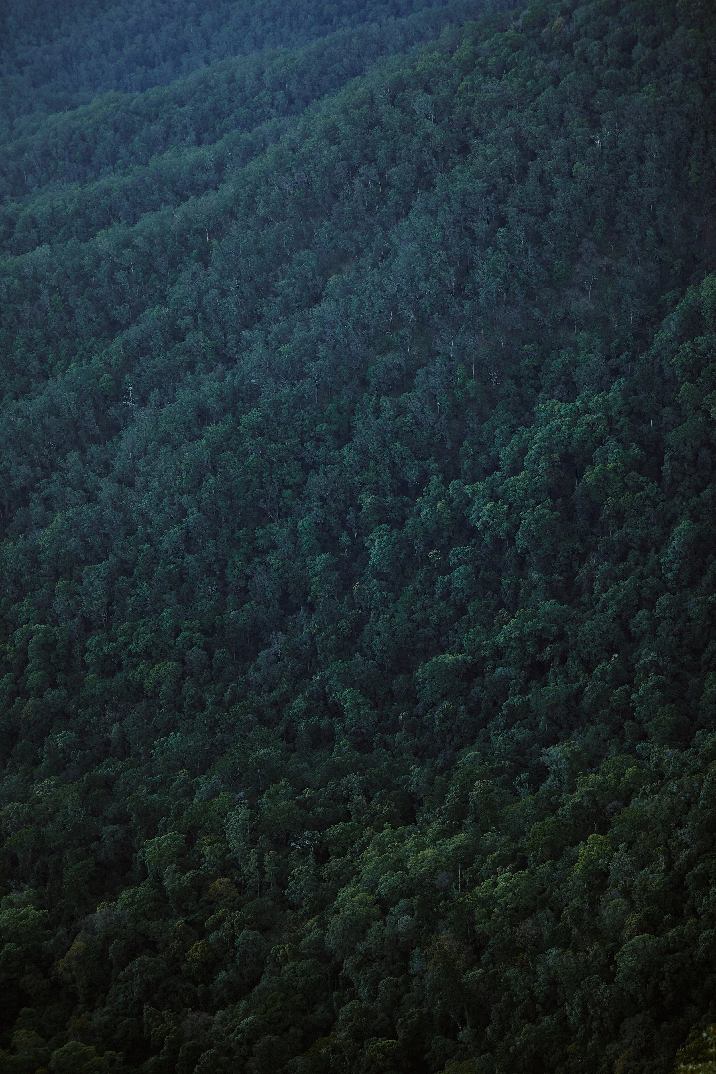 Prints__V5A5792.jpg
