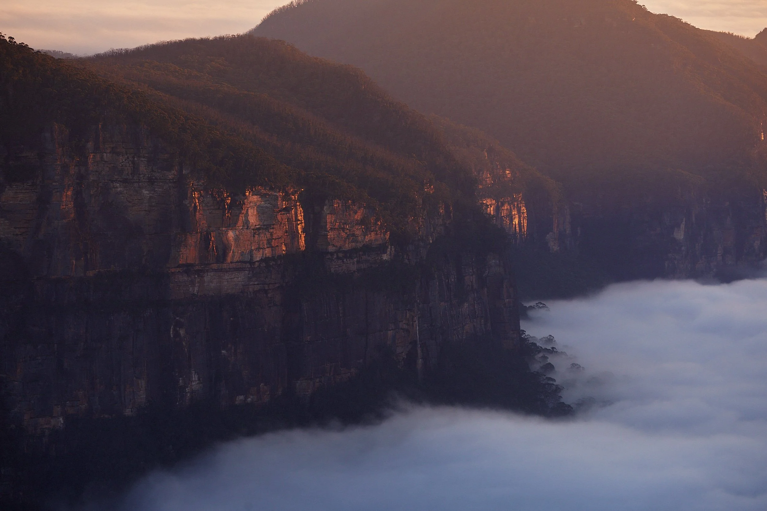 Blue Mountains Australia Landscape Photographic Prints_V5A8683.jpg