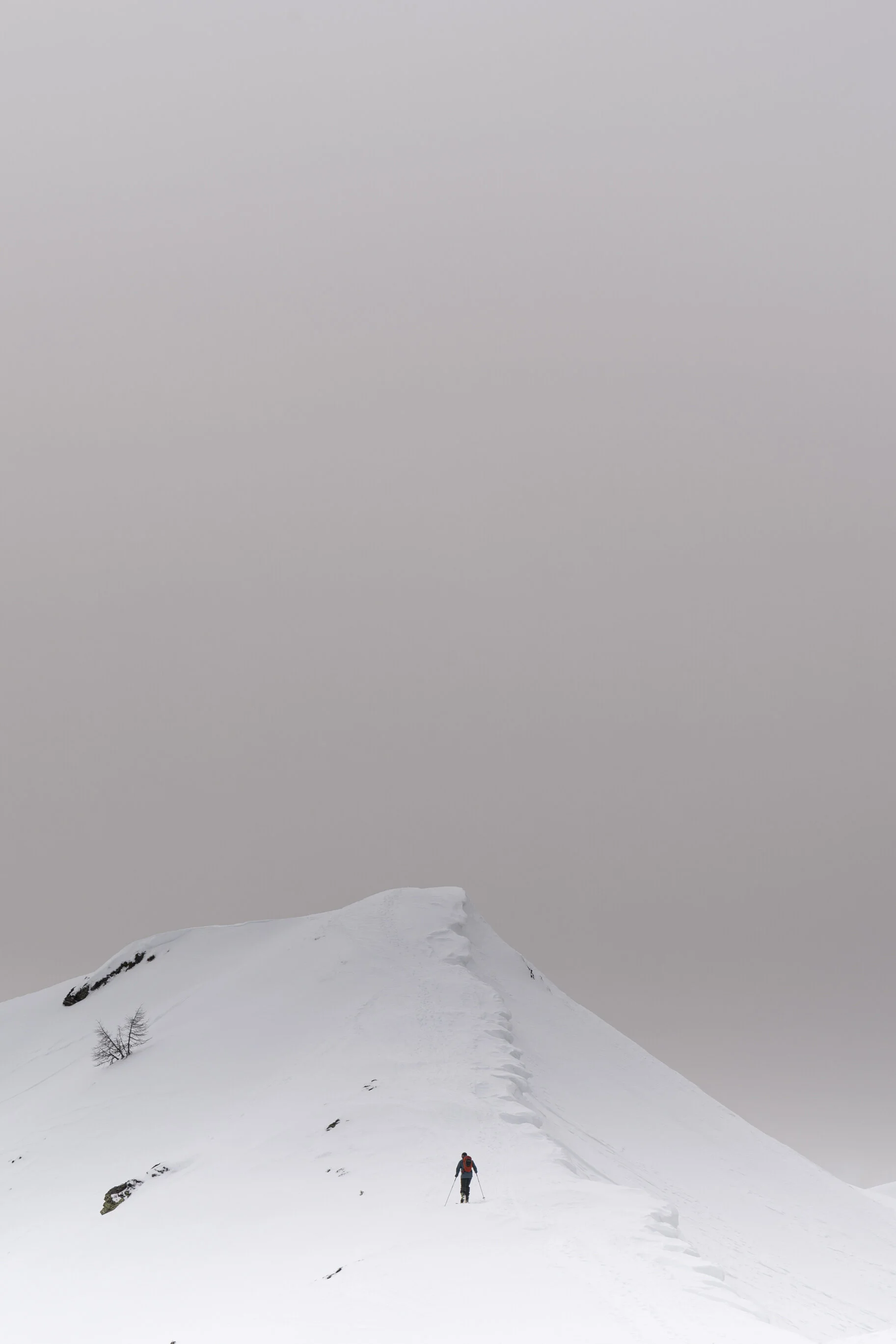 _DSC8261.JPG