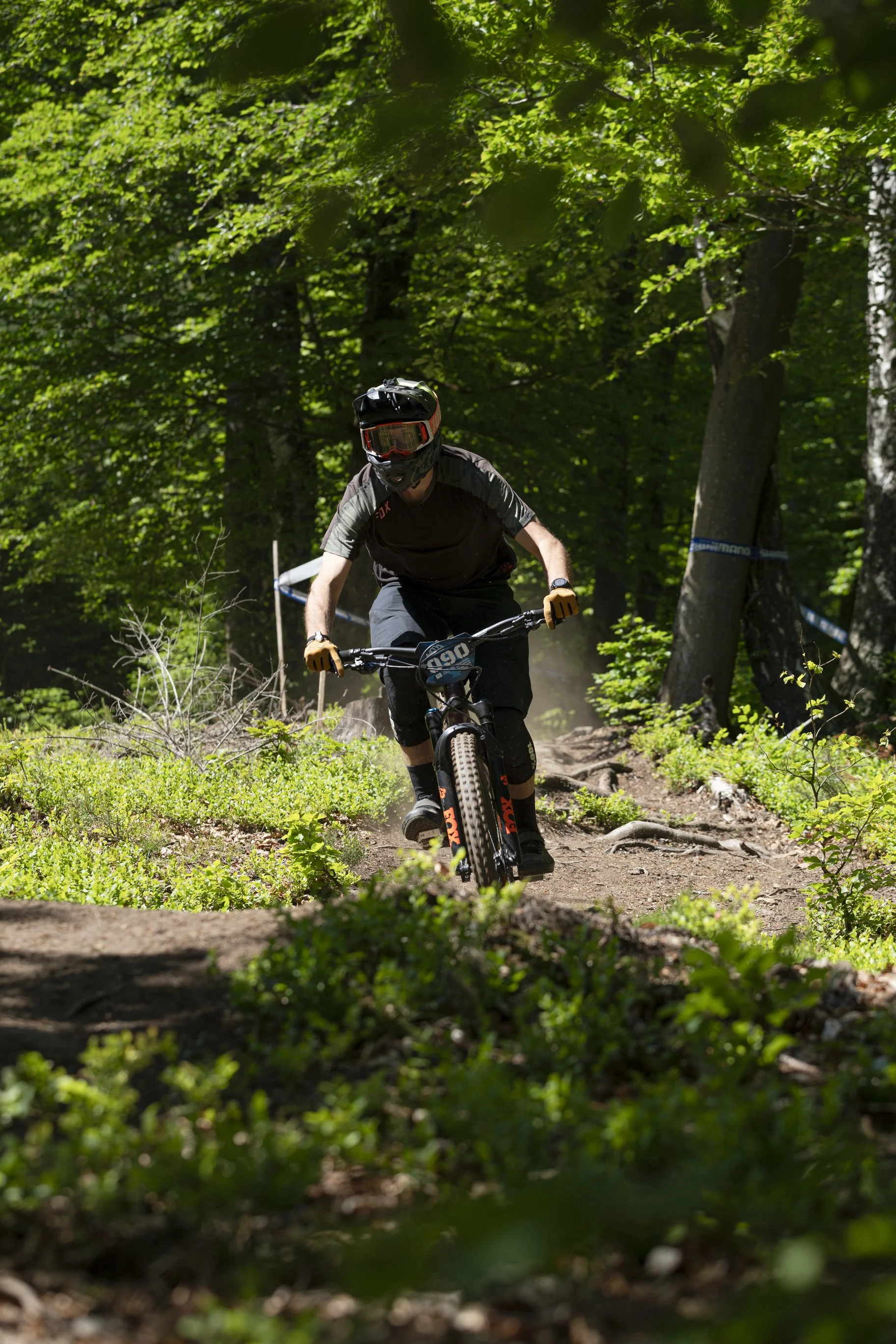 sloenduro-320.JPG