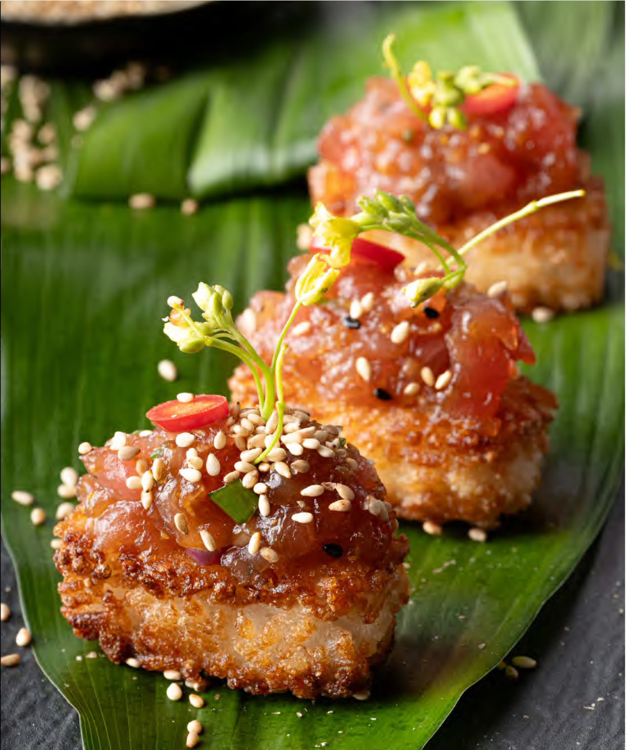 Screenshot 2026-03-06 at 12.19.49.png