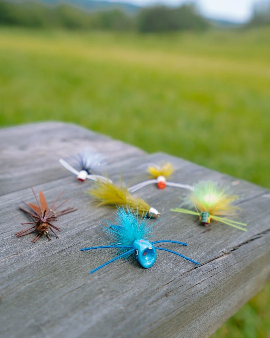 We're thrilled to introduce our newest guided guest activity &mdash; fly fishing right here on Meadowkirk's spacious, natural grounds! 🎣

After much anticipation, we have begun inviting guests to try their hand at the beautiful and restful artistry 