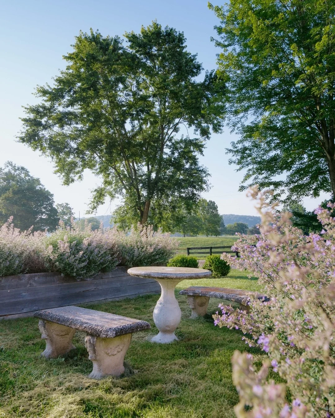 Each season brings a rare and quiet beauty to every corner of the grounds here at Meadowkirk. This summer, we're savoring the rolling green hills, the glow of morning light, and spaces transformed by wildflowers. 🌷

These natural spaces gently invit