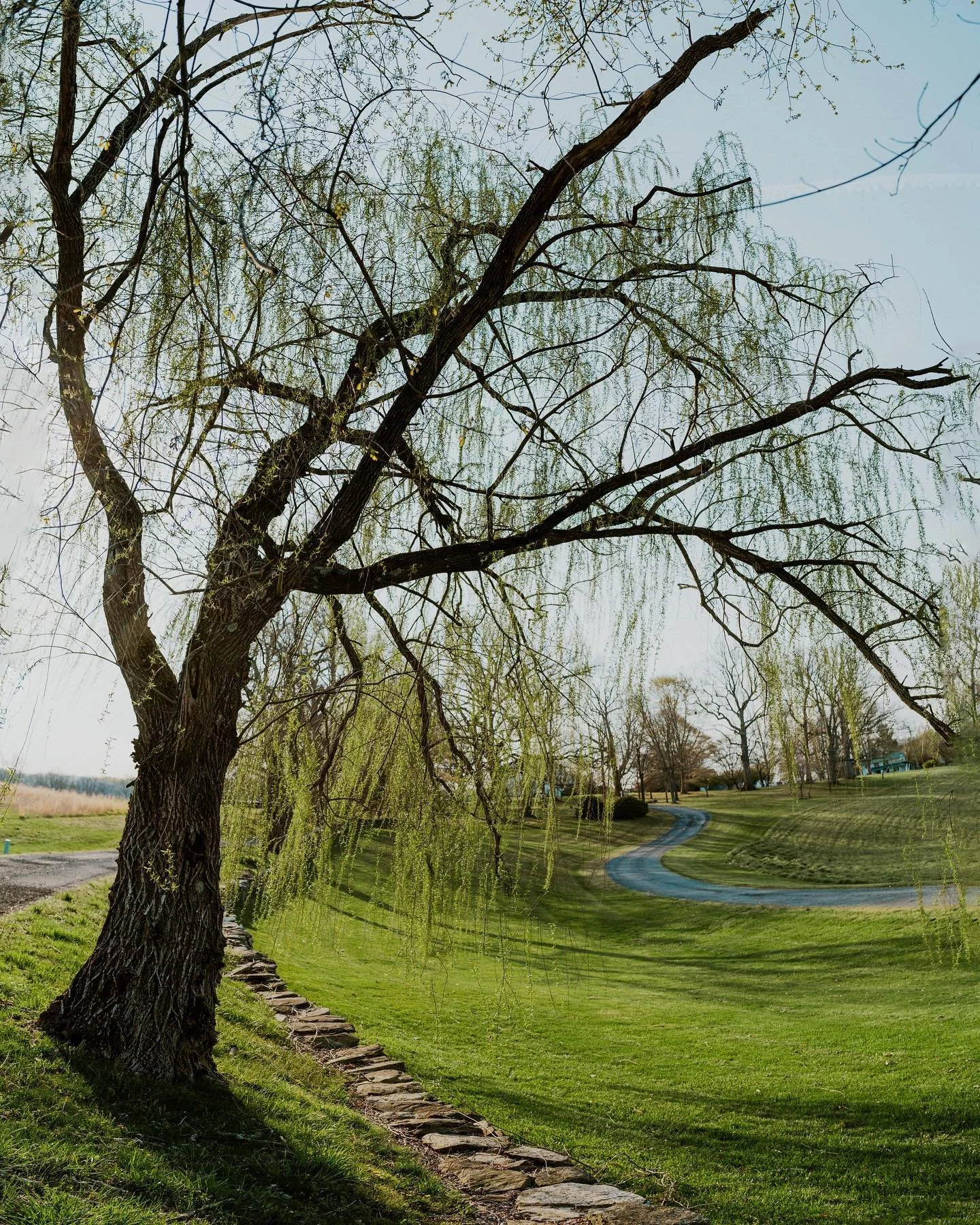 Come experience Meadowkirk in full bloom!

Our own seed starts are well along this year's journey from farm to table. Looking forward to welcoming our guests to its beauty and bounty!

*
*
*
*
*
#visitmeadowkirk  #retreatcenter #retreatvenue #eventsp